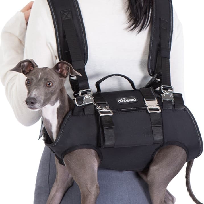 ペット キャリーバッグ 犬用 ハーネス一体型サポートキャリー