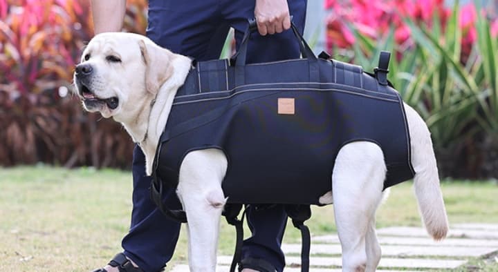 ペット キャリーバッグ 大型犬用 介護サポート搬送ハーネス