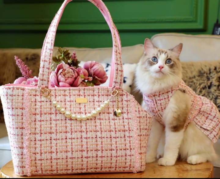 ペット キャリーバッグ 猫用ツイード調優美ペットキャリー