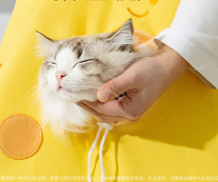 ペット キャリーバッグ 猫用ポップキャラクター ペットキャリー