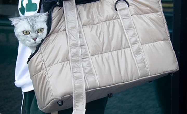 ペット キャリーバッグ 猫用ふわもこ あったかお散歩キャリーバッグ