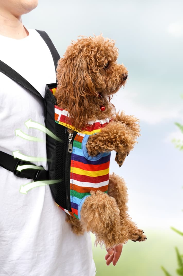 ペット キャリーバッグ 犬用抱っこ楽ちん前向きペットバッグ