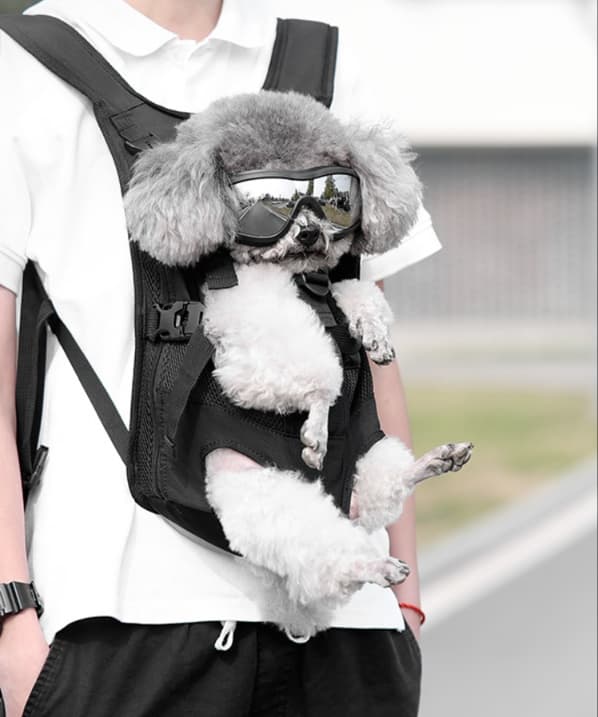 ペット キャリーバッグ 犬用抱っこ楽ちん メッシュ スリング
