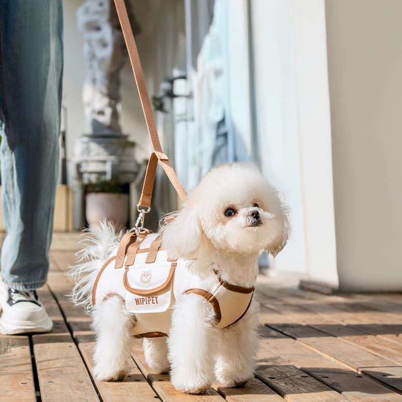 ペット キャリーバッグ 犬用楽々お散歩 抱っこバッグ