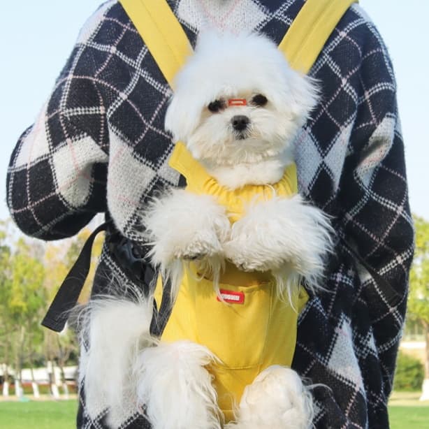 ペット キャリーバッグ 犬用両手が使える リュック型ペットキャリー