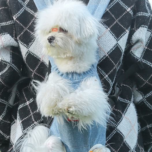 ペット キャリーバッグ 犬用両手が使える リュック型ペットキャリー