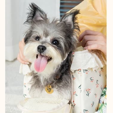 ペット キャリーバッグ 犬用お花モチーフ付き 折り畳みペットキャリー