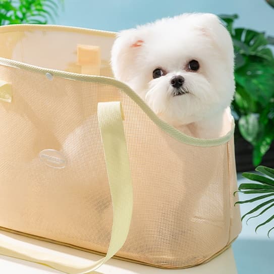 ペット キャリーバッグ 犬用メッシュ素材のお散歩らくらくキャリーバッグ