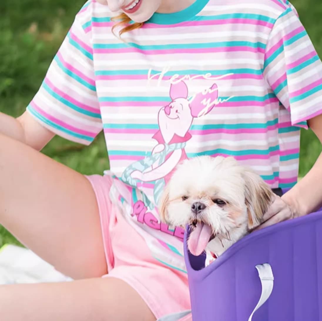 ペット キャリーバッグ 犬用 愛犬とお出かけ快適ソフトキャリー