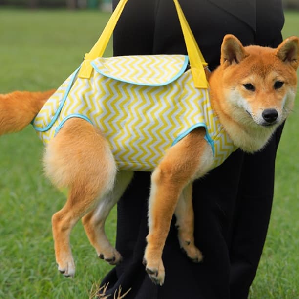 ペット キャリーバッグ 犬用ゆらぎ模様の四季用抱っこキャリー