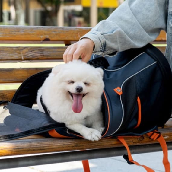 ペット キャリーバッグ 犬用快適お散歩リュック型ペットキャリー
