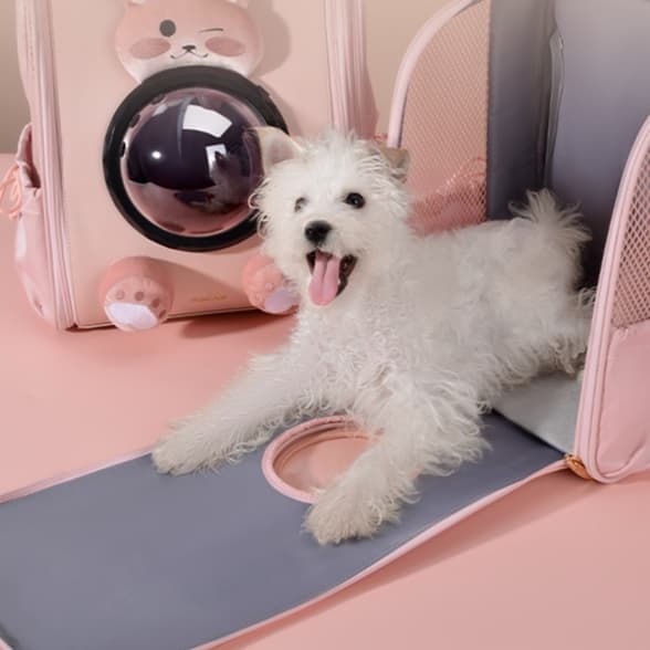 ペット キャリーバッグ 犬用うさぎモチーフ宇宙船ペットキャリー