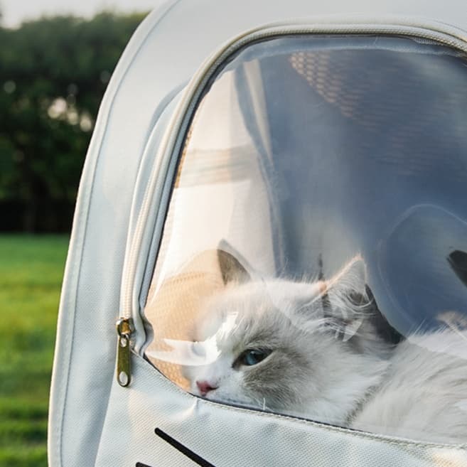 ペット キャリーバッグ 猫用透明窓付き おしゃれ猫キャリー リュック型