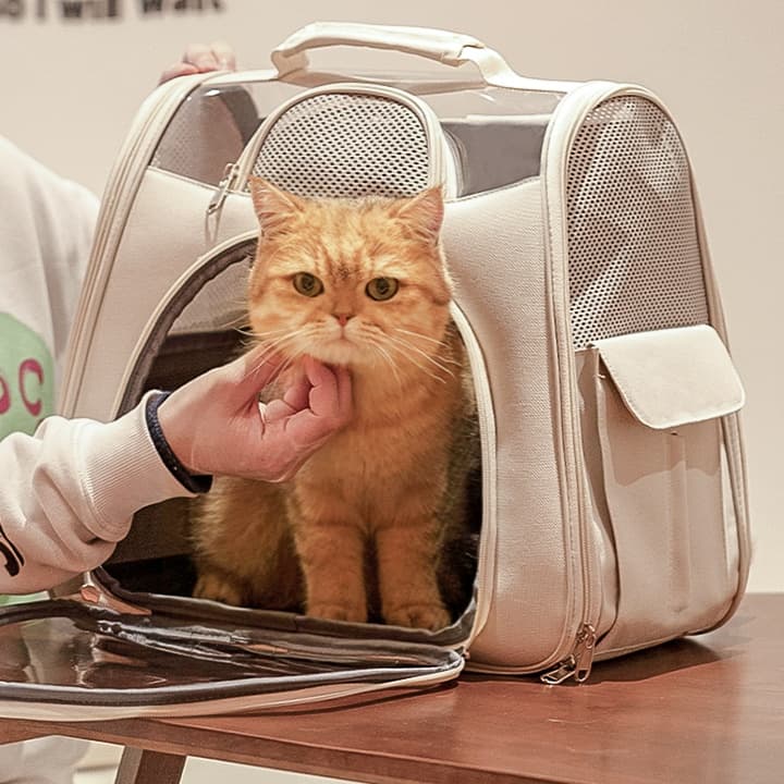 ペット キャリーバッグ 猫用メッシュ窓付き快適お散歩キャリーバッグ
