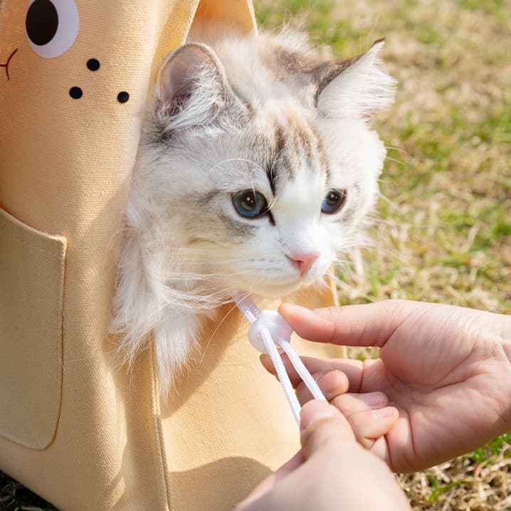 ペット キャリーバッグ 猫用ちびキャラ おでかけ猫トートバッグ