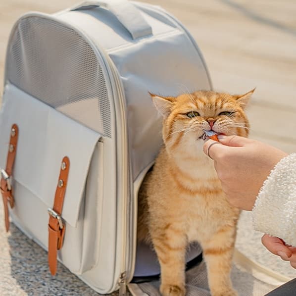 ペット キャリーバッグ 猫用メッシュ通気ペットキャリー