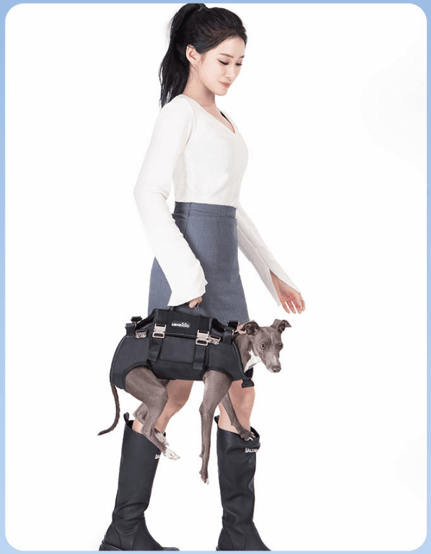 ペット キャリーバッグ 犬用 ハーネス一体型サポートキャリー