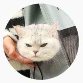 ペット キャリーバッグ 猫用メッシュデザイン おでかけトートバッグ