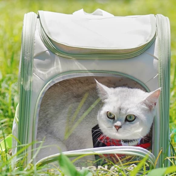 ペット キャリー 猫用通気性抜群 折りたたみ ペット旅行バッグ