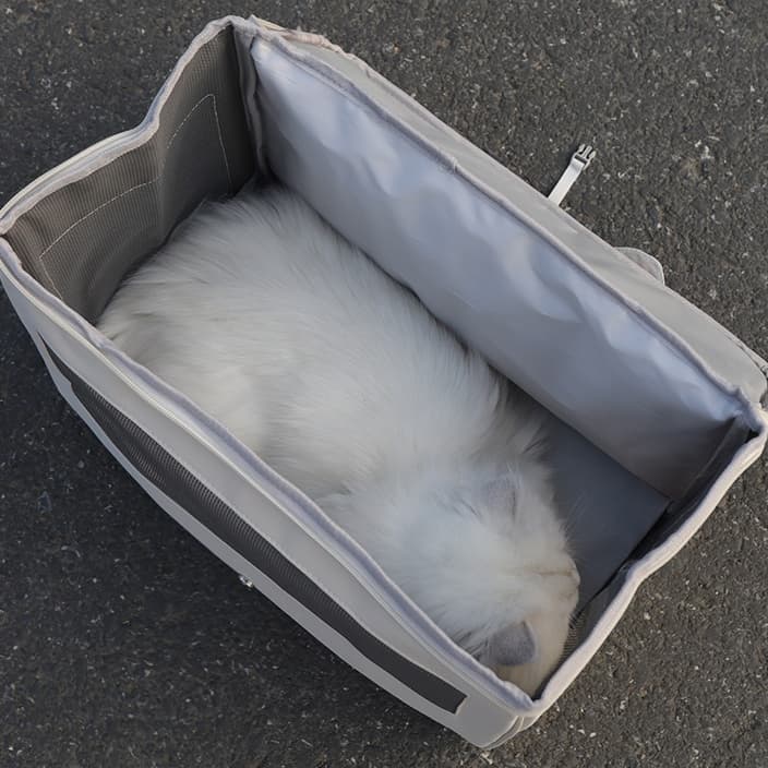 ペット キャリー 猫用通気性抜群メッシュウィンドウキャリー