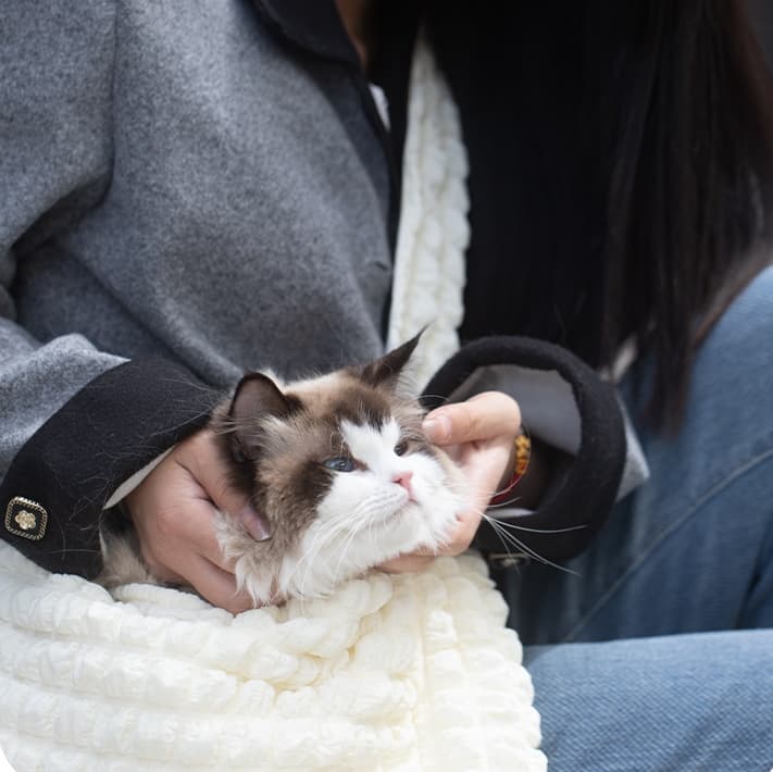 ペット キャリー 猫用もこもこお出かけバッグ
