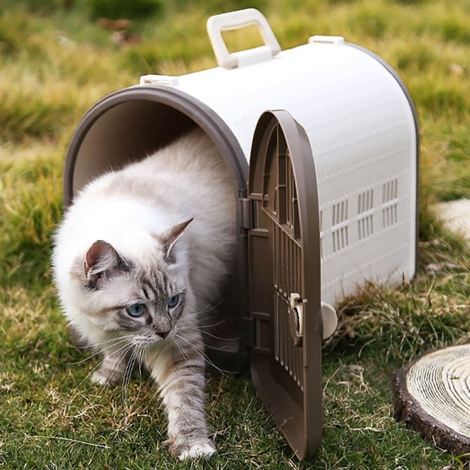 ペット キャリー 猫用郵便箱型おでかけキャリー