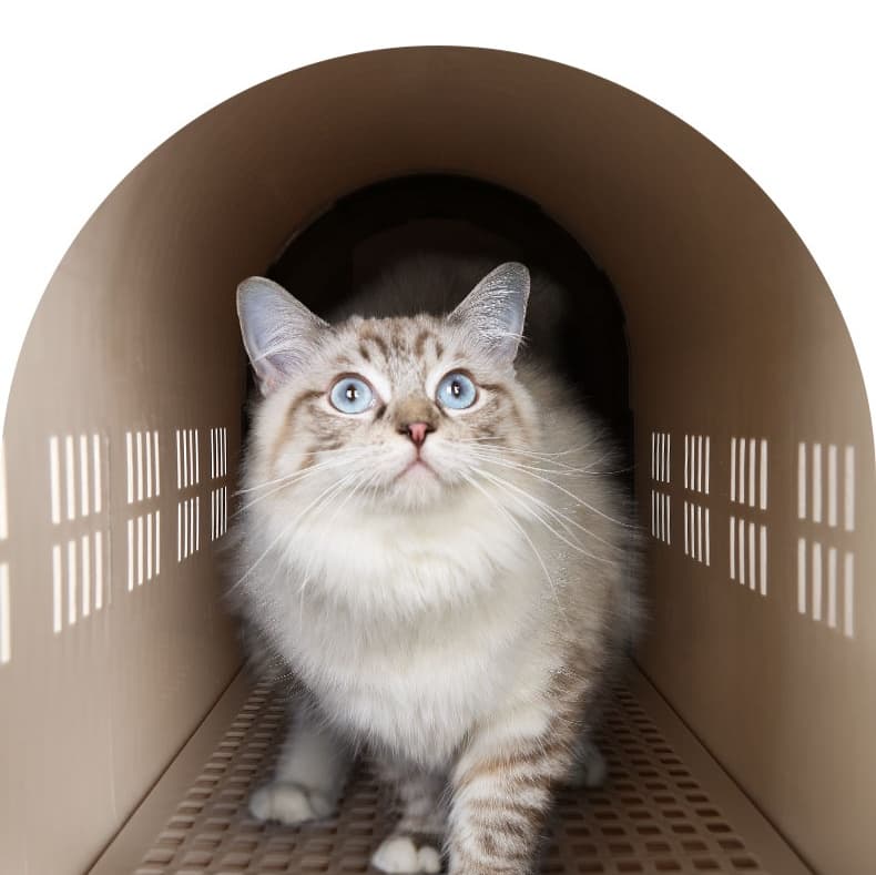 ペット キャリー 猫用郵便箱型おでかけキャリー