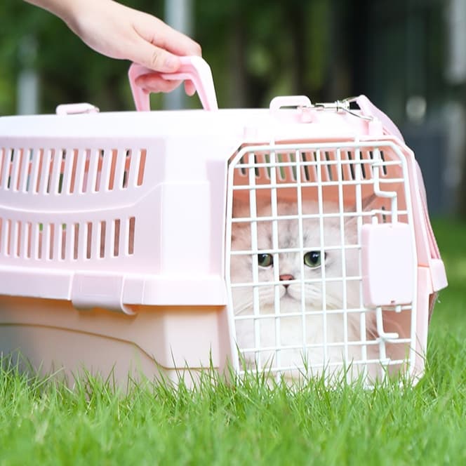 ペット キャリー 猫用快適おでかけキャリーケース