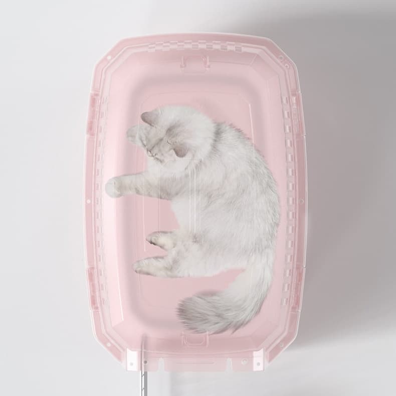ペット キャリー 猫用快適おでかけキャリーケース