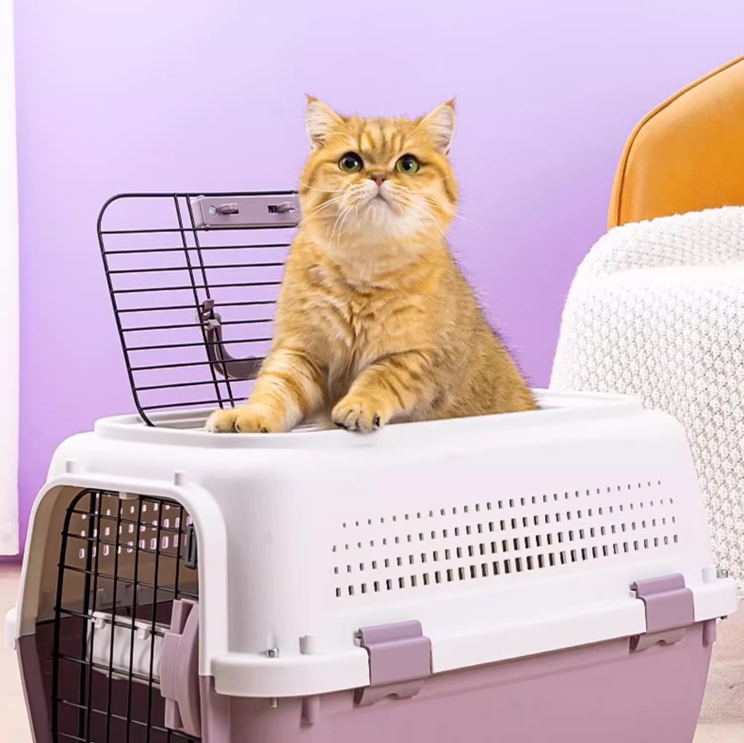 ペット キャリー 猫用通気性抜群 快適移動ペットキャリー