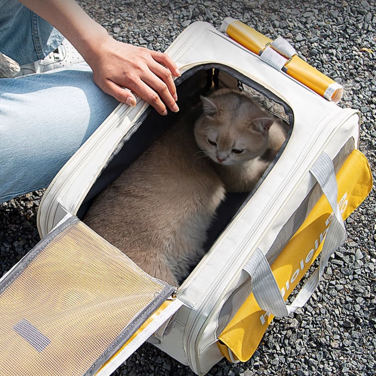 ペット キャリー 猫用 贅沢快適移動ハウス 旅行寝床