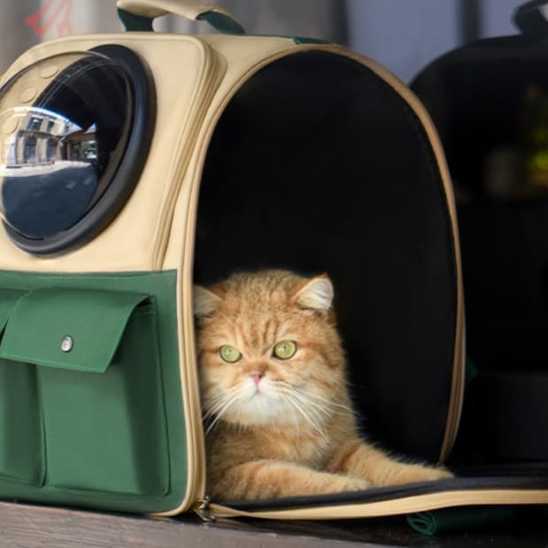 ペット キャリー 猫用窓付き宇宙船キャリー 安心おでかけバッグ