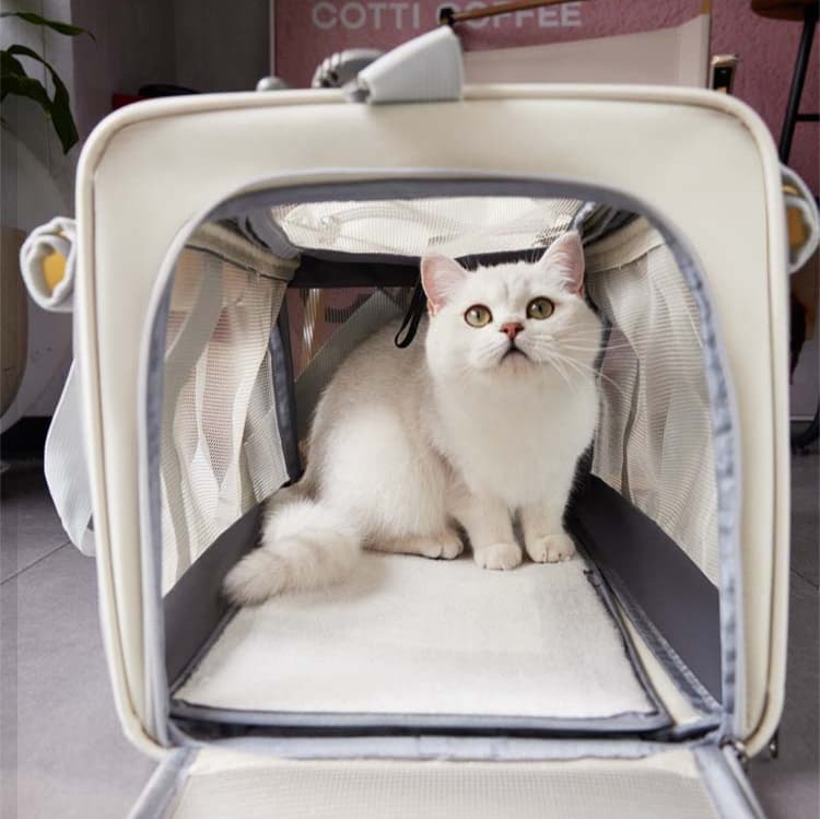 ペット キャリー 快適お出かけ猫用メッシュキャリー