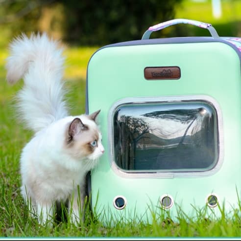 ペット キャリー 窓付き猫用リュックキャリー 大空間タイプ