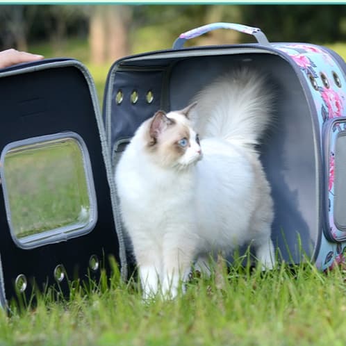ペット キャリー 窓付き猫用リュックキャリー 大空間タイプ