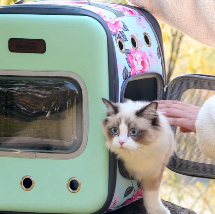 ペット キャリー 窓付き猫用リュックキャリー 大空間タイプ