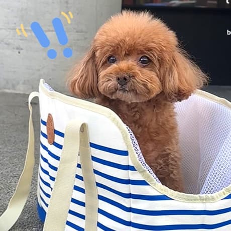 ペット キャリー おでかけ楽々メッシュ付き犬用トートキャリー