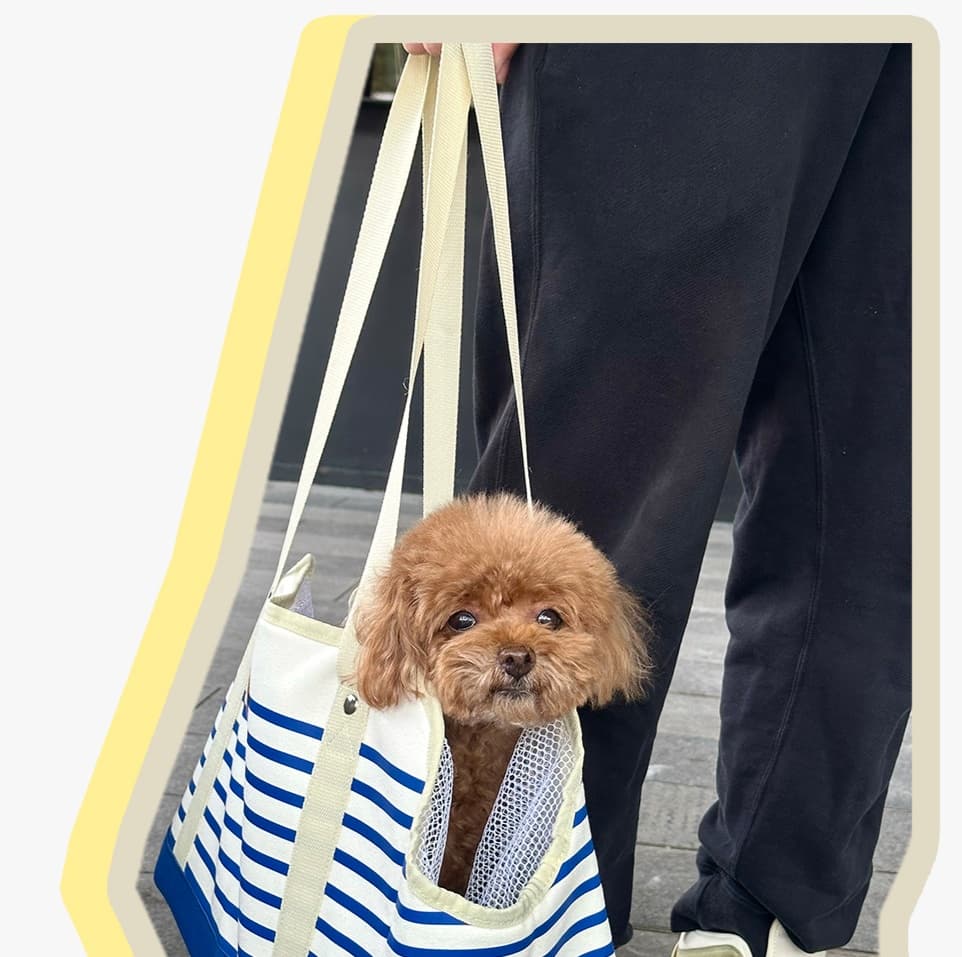 ペット キャリー おでかけ楽々メッシュ付き犬用トートキャリー