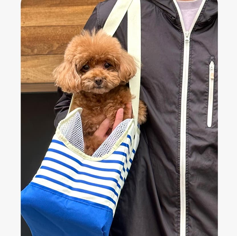 ペット キャリー おでかけ楽々メッシュ付き犬用トートキャリー