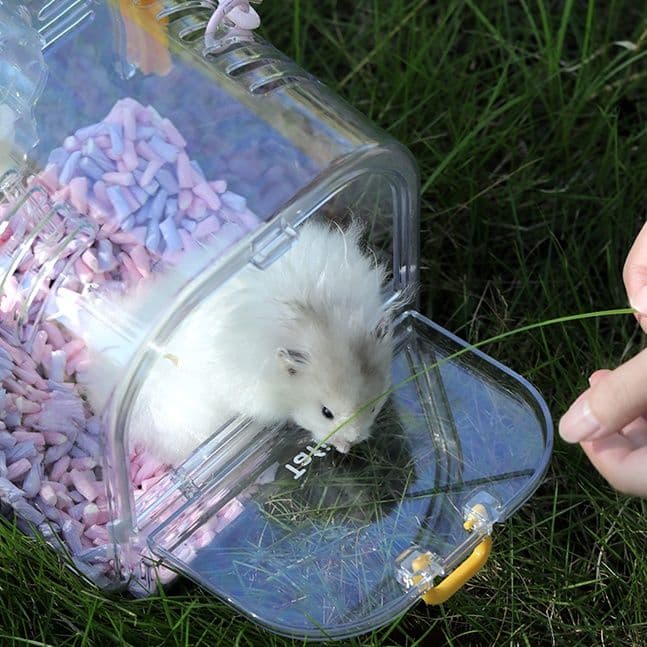 ペット キャリー ペット キャリー 透明ハウス おでかけハムスターケージ