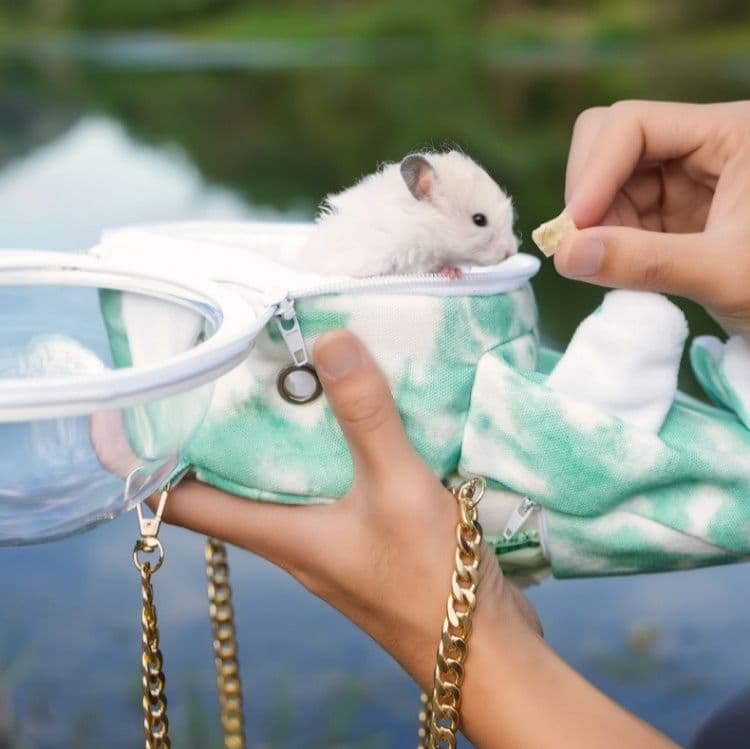 ペット キャリーハムスター用透明ドーム付き 小動物おでかけバッグ