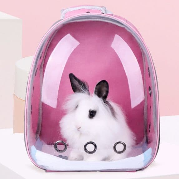 ペット キャリーうさぎの透明キャリーリュック