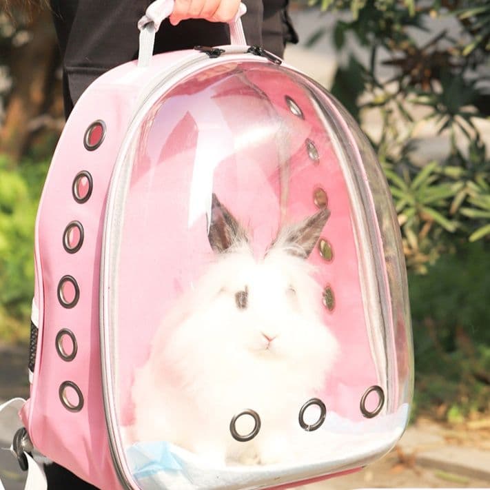 ペット キャリーうさぎの透明キャリーリュック