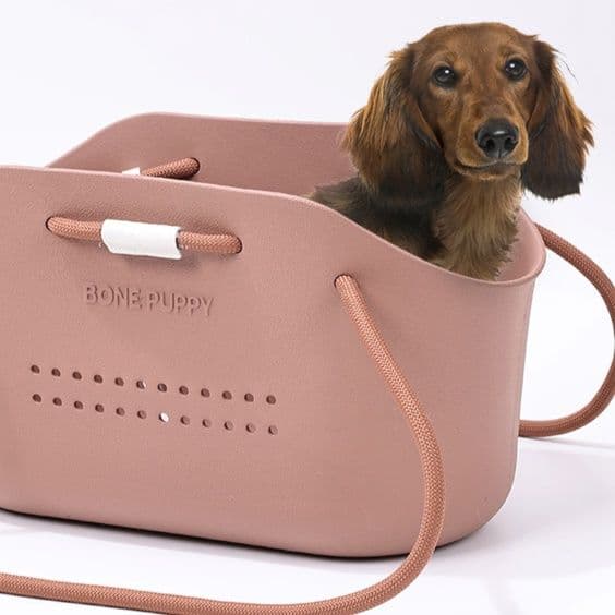 ペット キャリー 犬用 お出かけ快適バスケットキャリー