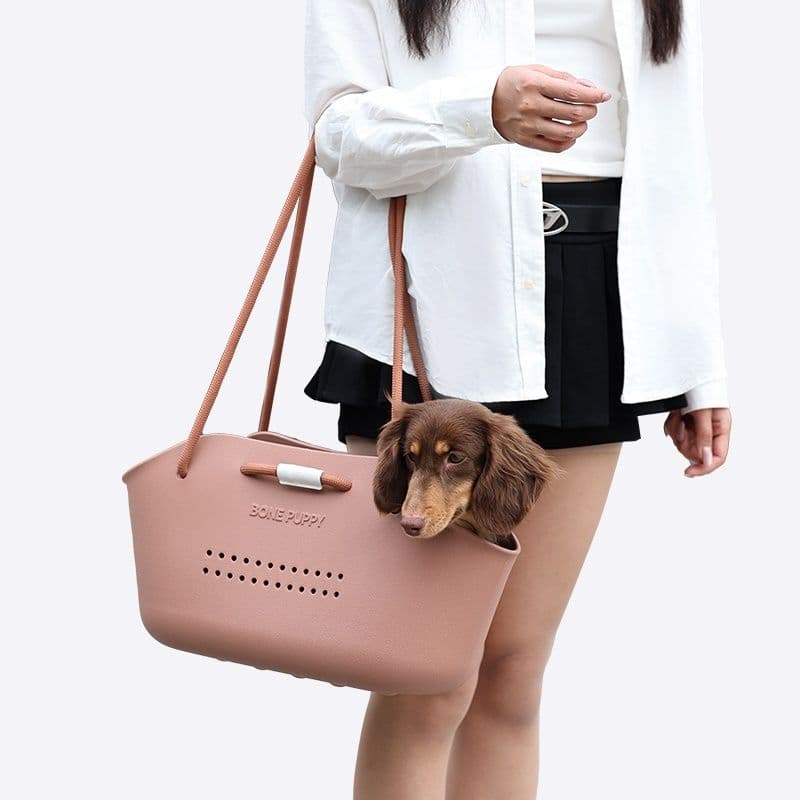 ペット キャリー 犬用 お出かけ快適バスケットキャリー