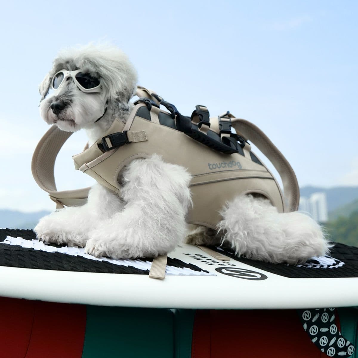 ペット キャリーアウトドア愛犬背負いバッグ