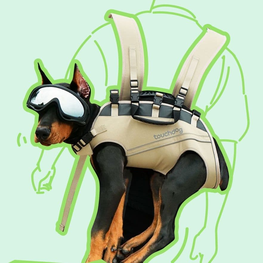 ペット キャリーアウトドア愛犬背負いバッグ