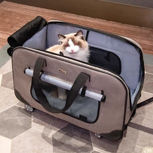 ペット キャリー 快適お出かけ猫用キャリーカート