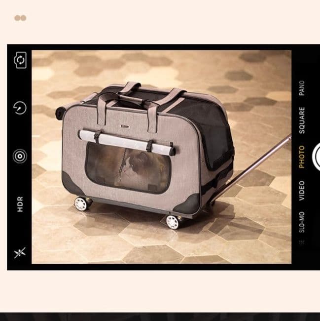 ペット キャリー 快適お出かけ猫用キャリーカート