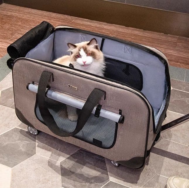 ペット キャリー 快適お出かけ猫用キャリーカート